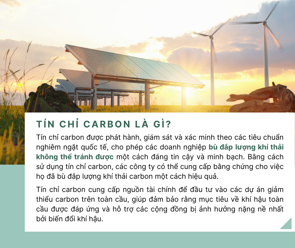 Tín chỉ carbon là gì