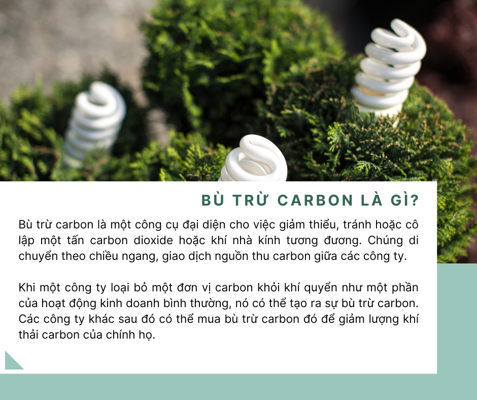 bù trừ carbon là gì?